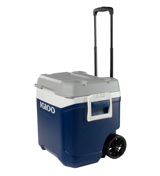 Igloo Cooler