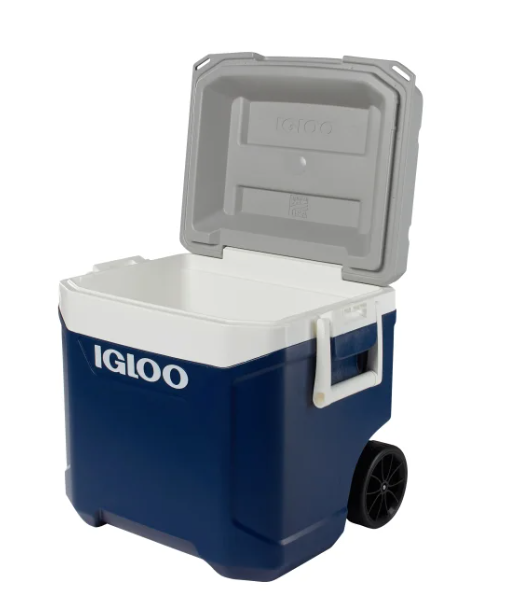 Igloo Cooler - Image 2
