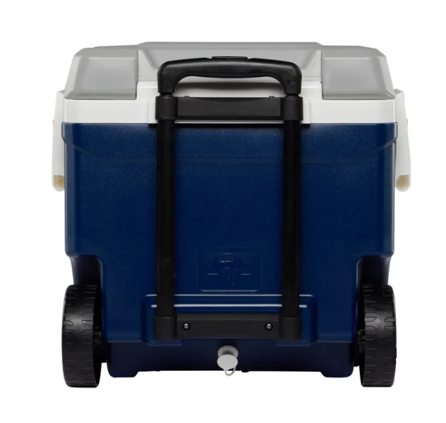 Igloo Cooler - Image 3
